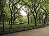 Central Park