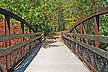 A Bridge at Ohiopyle