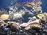 Baltimore Aquarium
