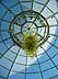 The Phipps Dome